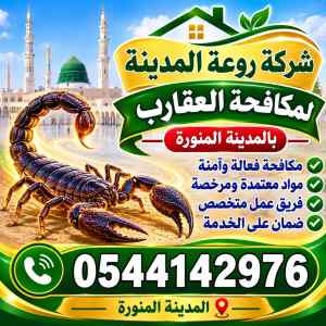 شركة مكافحة العقارب بالمدينة المنورة