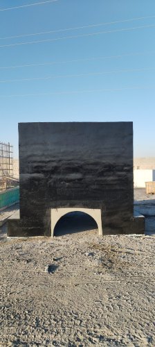 الرياض