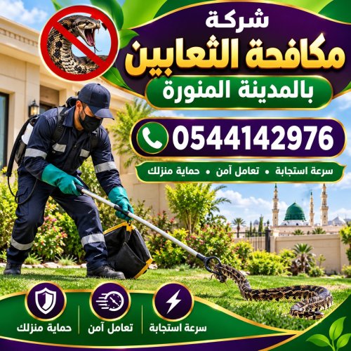 شركة مكافحة الثعابين بالمدينة المنورة