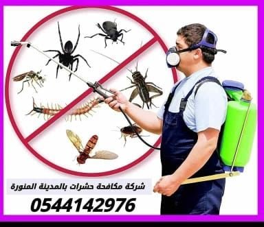 شركة مكافحة الثعابين بالمدينة المنورة