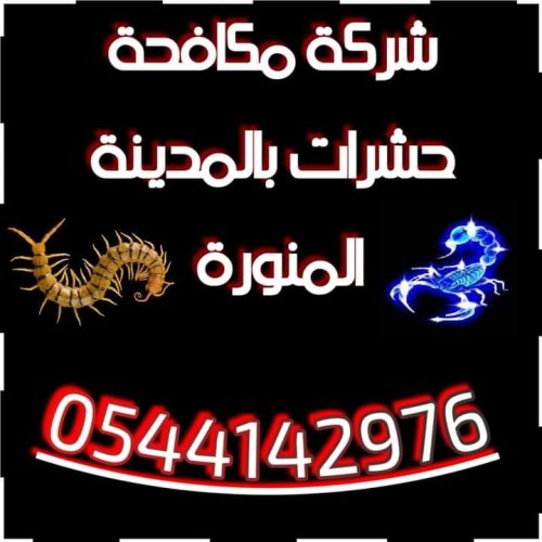 شركة مكافحة الثعابين بالمدينة المنورة