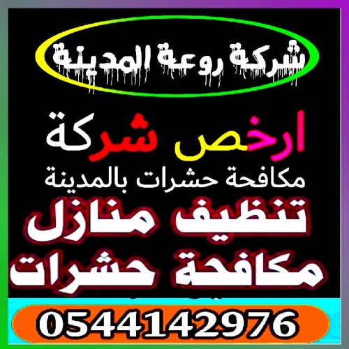 شركة مكافحة الثعابين بالمدينة المنورة